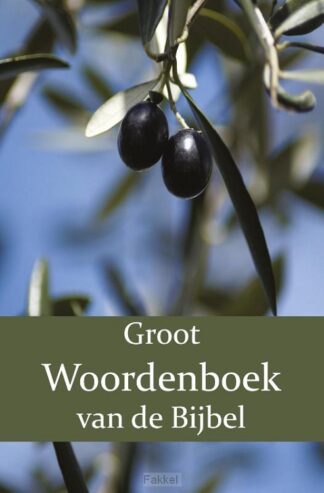 product afbeelding voor: Groot Woordenboek van de Bijbel A-H