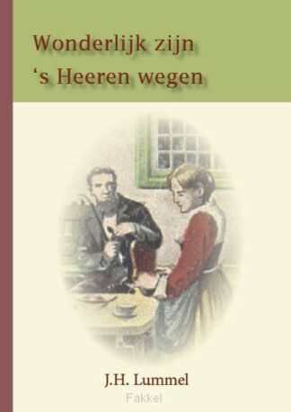 product afbeelding voor: Wonderlijk zijn 's Heeren wegen