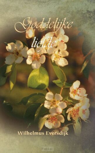 product afbeelding voor: Goddelijke liefde