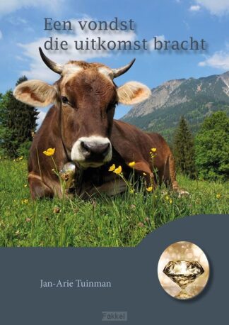 product afbeelding voor: Vondst die uitkomst bracht