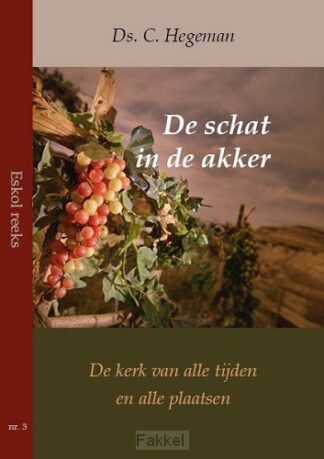 product afbeelding voor: De schat in de akker