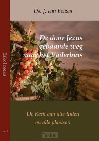 product afbeelding voor: Door Jezus gebaande weg