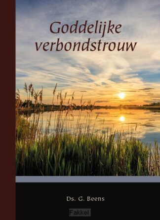 product afbeelding voor: Goddelijke verbondstrouw