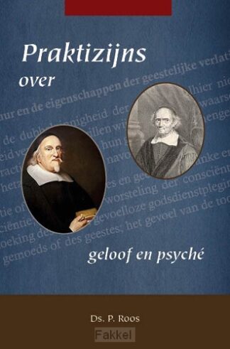 product afbeelding voor: Praktizijns over geloof en psyche