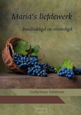product afbeelding voor: Maria's liefdewerk