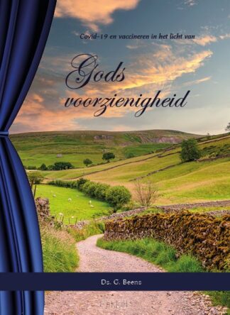product afbeelding voor: Gods voorzienigheid