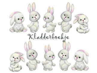 product afbeelding voor: Kladderboekje hangoortje