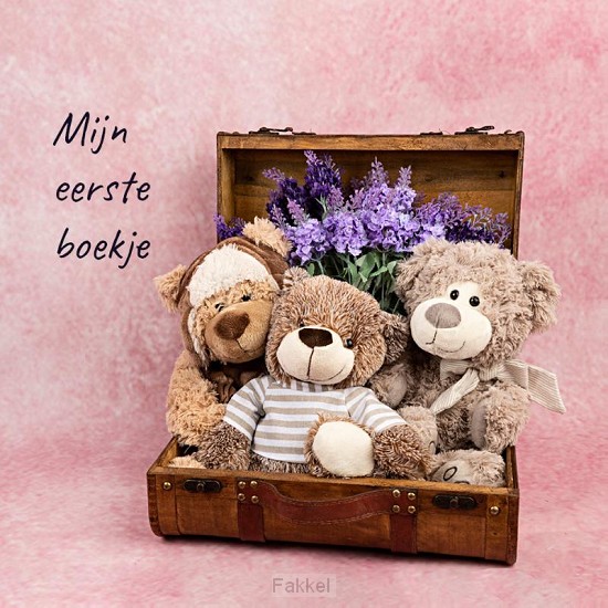 product afbeelding voor: Mijn eerste boekje deborah