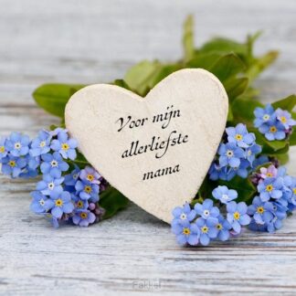 product afbeelding voor: Voor mijn allerliefste mama + pen janet