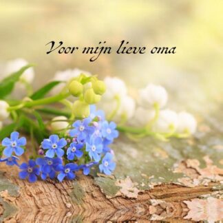 product afbeelding voor: Voor mijn allerliefste oma + pen sijgje