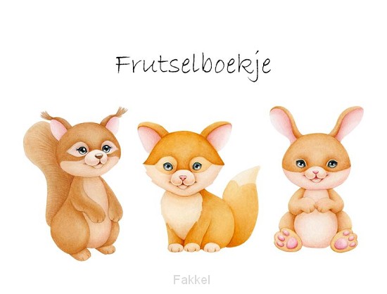 product afbeelding voor: Frutselboekje mariska