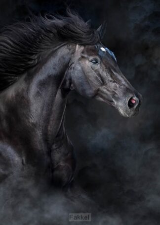 product afbeelding voor: Notitieboek thijs + elastieken sluiting