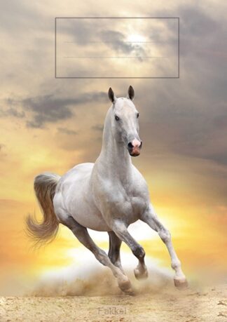 product afbeelding voor: Schrijfschrift dasi