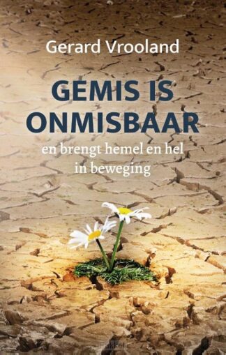 product afbeelding voor: Gemis is onmisbaar