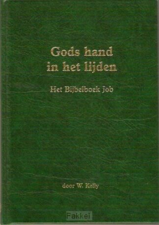 product afbeelding voor: Gods hand in het lijden