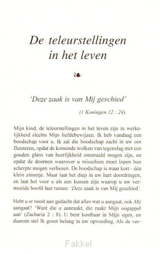 product afbeelding voor: Teleurstellingen in het leven