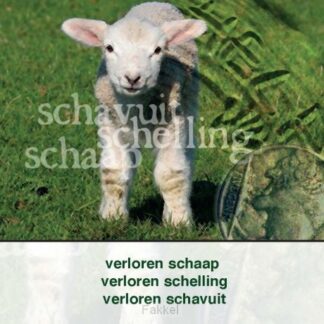 product afbeelding voor: Verloren schaap schelling schavuit