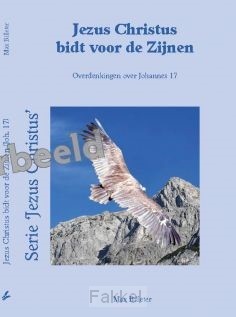 product afbeelding voor: Jezus Christus bidt voor de Zijnen