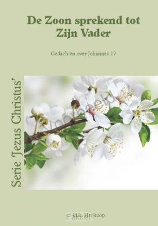 product afbeelding voor: Zoon sprekend tot Zijn Vader