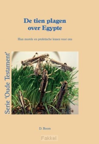product afbeelding voor: Tien plagen over egypte