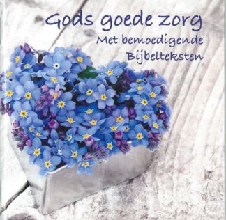 product afbeelding voor: Gods goede zorg