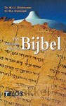 product afbeelding voor: Ontstaan van de bijbel