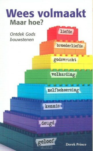 product afbeelding voor: Wees volmaakt maar hoe