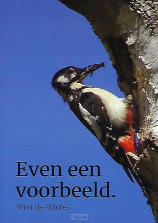 product afbeelding voor: Even een voorbeeld