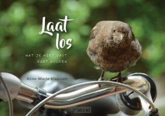 product afbeelding voor: Laat los wat je niet kunt vasthouden