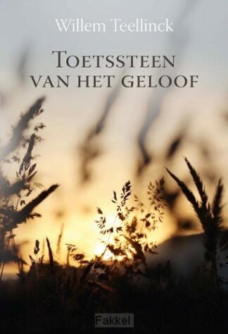 product afbeelding voor: Toetssteen van het geloof
