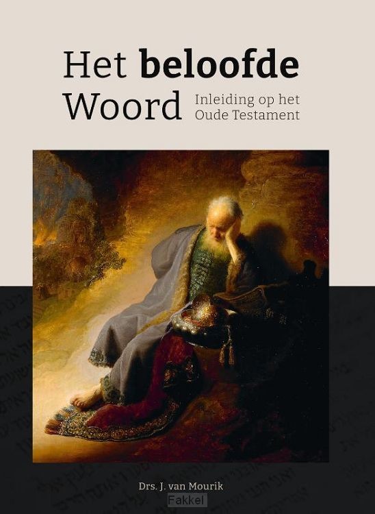 product afbeelding voor: Het beloofde woord