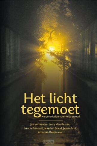 product afbeelding voor: Licht tegemoet