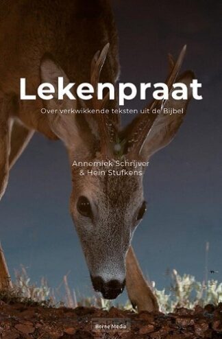 product afbeelding voor: Lekenpraat