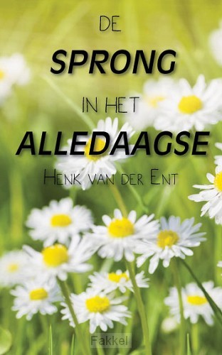 product afbeelding voor: Sprong in het alledaagse