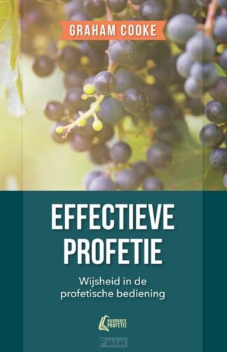 product afbeelding voor: Effectieve profetie