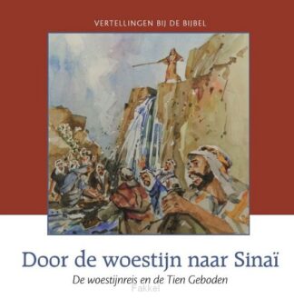 product afbeelding voor: Door de woestijn naar sinai