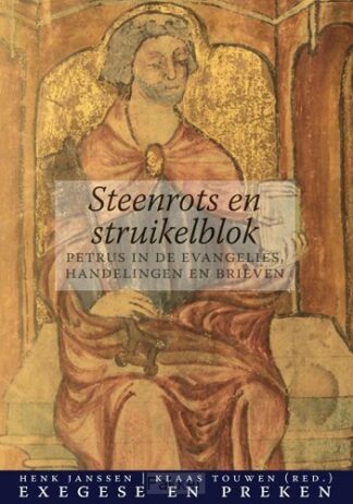 product afbeelding voor: Steenrots en struikelblok