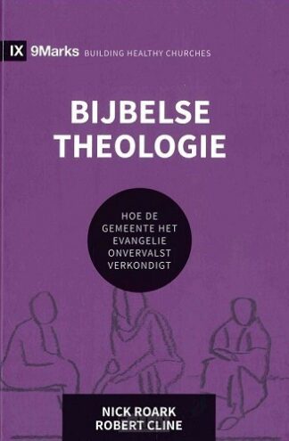 product afbeelding voor: Bijbelse theologie