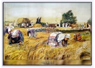 product afbeelding voor: 16 delig A4 posterset bijbelse taferelen