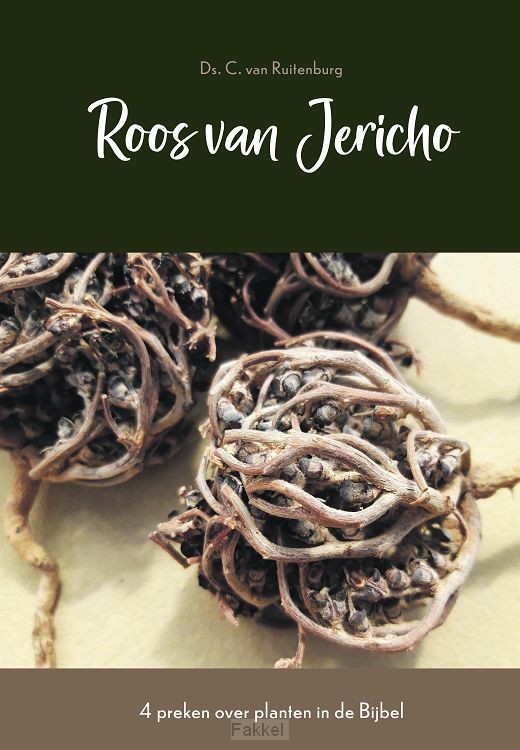 product afbeelding voor: Roos van jericho
