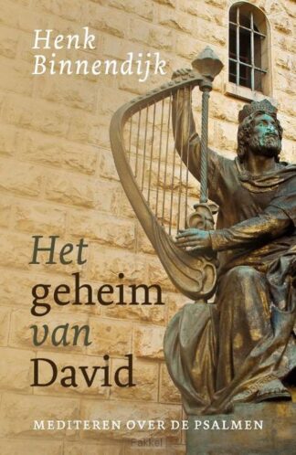 product afbeelding voor: Geheim van david