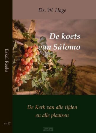 product afbeelding voor: Koets van salomo