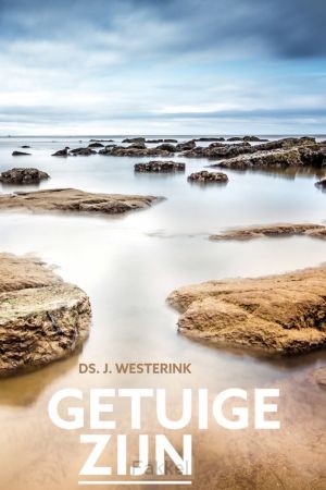 product afbeelding voor: Getuige zijn