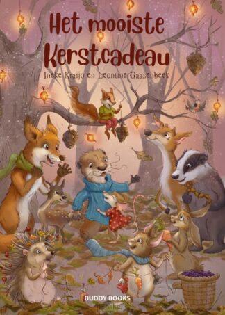 product afbeelding voor: Mooiste kerstcadeau