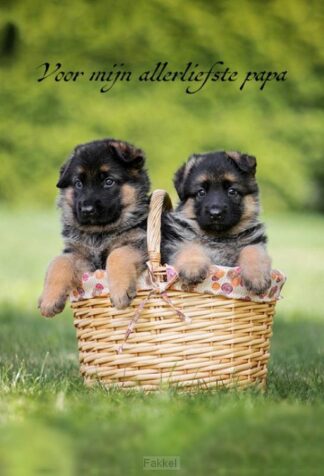 product afbeelding voor: Notitieboek bello