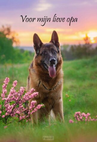 product afbeelding voor: Notitieboek nero