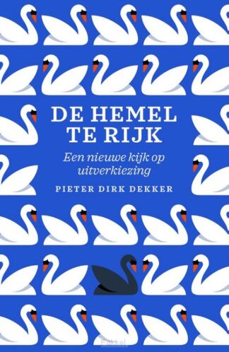 product afbeelding voor: Hemel te rijk