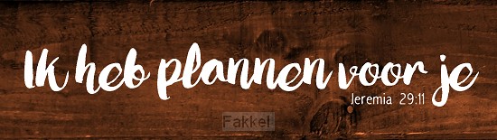 product afbeelding voor: Ik heb plannen voor je - 15 x 4 x 1