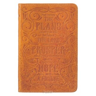 product afbeelding voor: For I know the plans