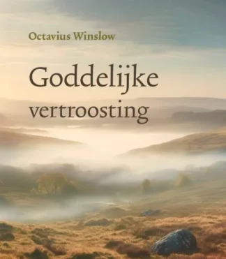 Goddelijke vertroosting